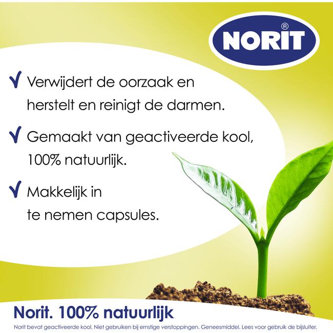 Norit 200 mg 30 Capsules