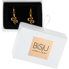 BiSjU Jewellery Oorbellen Ronde Ringen Silver Plated 