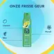 Fa Lime Squeeze Deodorant Spray 150 ML