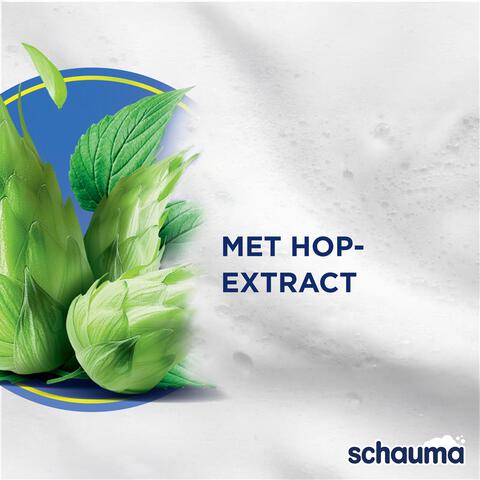 Schauma Shampoo for Men 400 ml