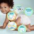 Pampers Premium Protection XXL Pack Luiers Maat 3 6-10 KG 129 Stuks