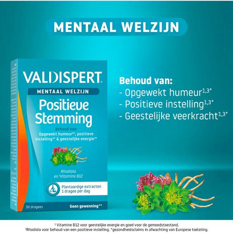 Valdisp Positieve stemming 30