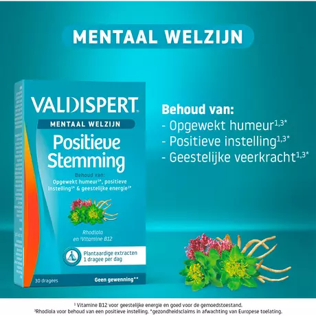 Valdispert Positieve Stemming 30 stuks