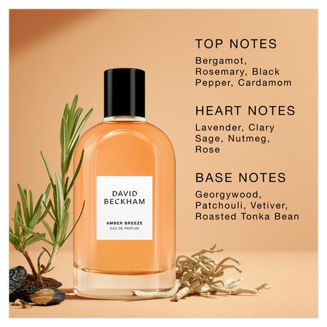 David Beckham Collection Amber Breeze eau de parfum 50ml​