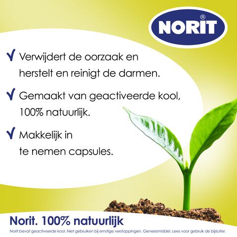 Norit 200 MG Capsules 30 stuks