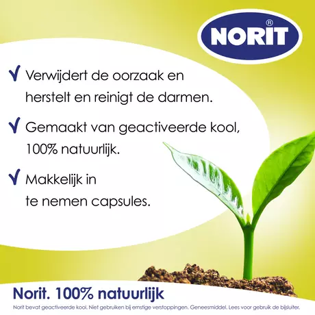 Norit 200 MG Capsules 30 stuks