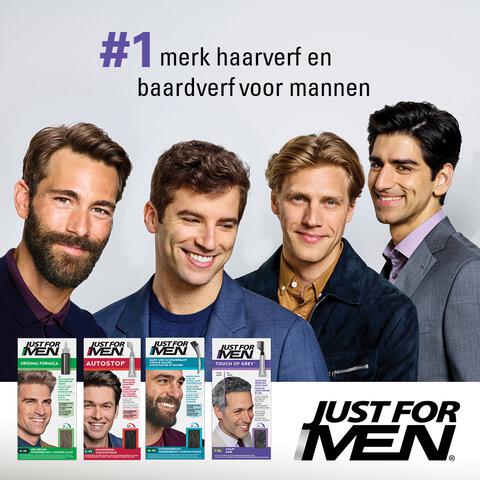 Just For Men Touch of Grey T55