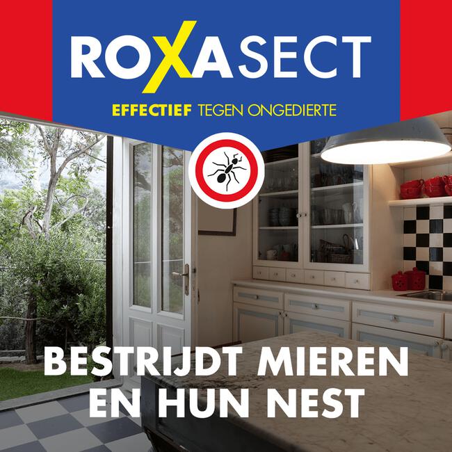 Roxasect Mierenloktoren 2 stuks