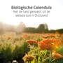 Weleda Calendula Alles-In-Een Balsem 25 GR