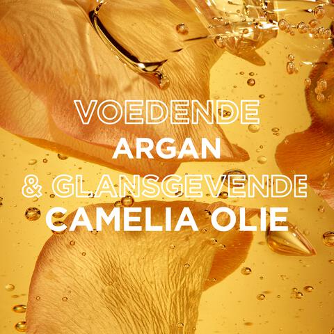 Garnier Loving Blends Argan & Cameliaolie Conditioner 250 ML