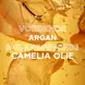 Garnier Loving Blends Argan & Cameliaolie Conditioner 250 ML