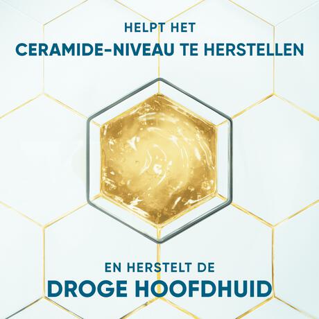 Head & Shoulders Derma X Pro Hydrateert Shampoo Anti-roos 250 ml