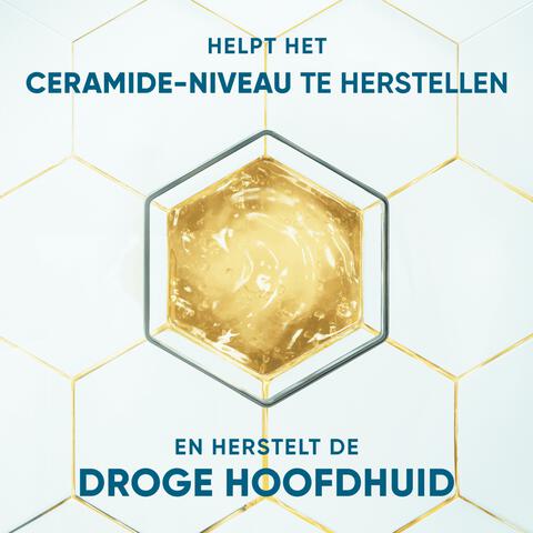 Head & Shoulders Derma X Pro Hydrateert Shampoo Anti-roos 250 ml