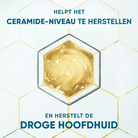 Head & Shoulders Derma X Pro Hydrateert Shampoo Anti-roos 250 ML