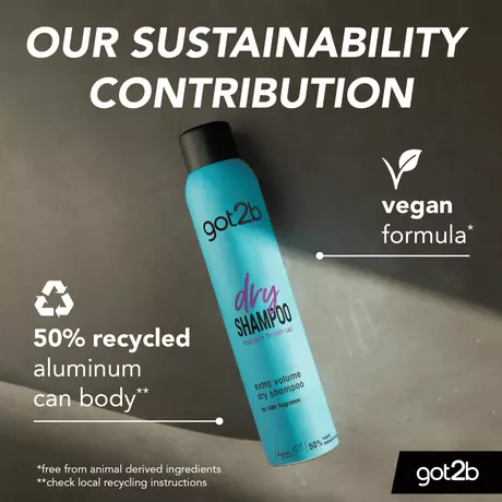 Got2b Fresh & Fabulous Dry Shampoo 200 ML