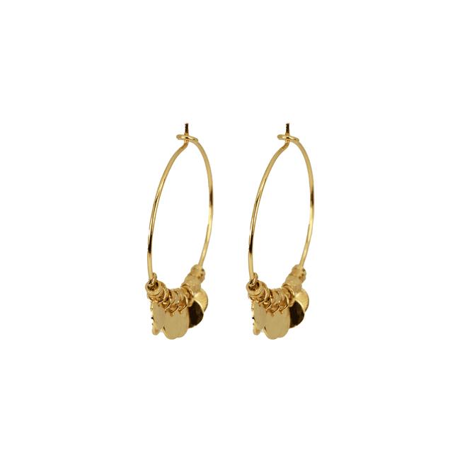 BiSjU Jewellery Oorbellen kleine ronde ringen Gold Plated SS		