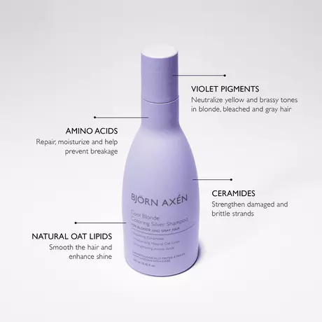 Bjorn Axen Cool Blonde Coloring Silver Shampoo 250 ML