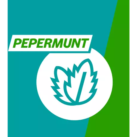 Gaviscon Kauwtabletten Pepermunt Maagzuurremmers 16 stuks