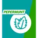Gaviscon Kauwtabletten Pepermunt Maagzuurremmers 16 stuks