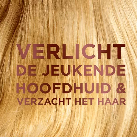 Garnier Loving Blends Shampoo Milde Haver 300 ML