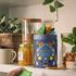 Pukka Herbal Favourites Collection