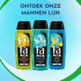 Fa Men Extreme Cool Douchegel & Shampoo 250 ML