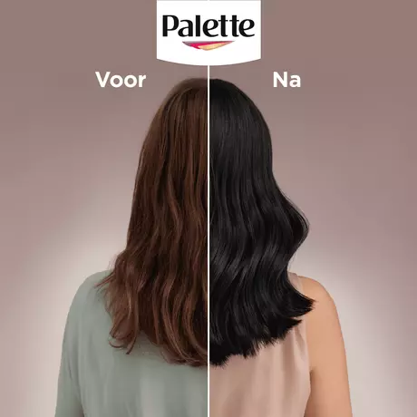 Poly Palette Perfecte Gloss Color Haarverf 110 Glossy Zwart