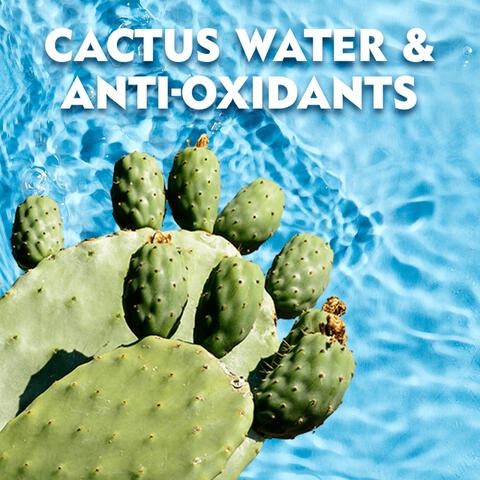 NIVEA MEN Fresh Kick Deodorant Spray 150 ML