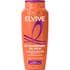 L'Oréal Paris Elvive Extraordinary Oil Shampoo 250 ML