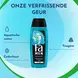 Fa Men Kick-off Douchegel & Shampoo 250 ML