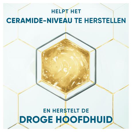 Head & Shoulders Derma X Pro Kalmeert Anti-Roos Shampoo 250 ML