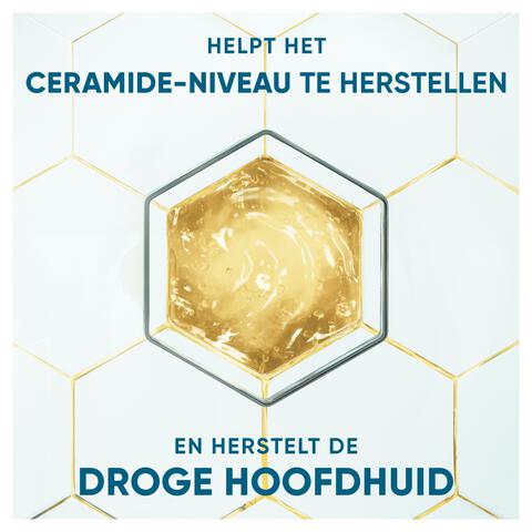 Head & Shoulders Derma X Pro Kalmeert Anti-Roos Shampoo 250 ML