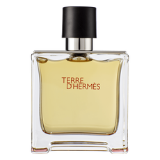 Hermes Terre d'Hermes eau de parfum 75 ML