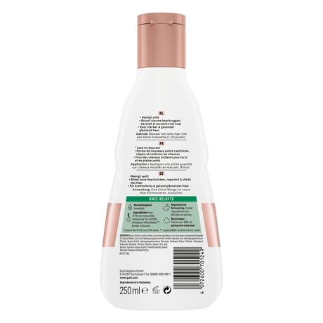 GUHL Bond+ Restore Shampoo 250ml