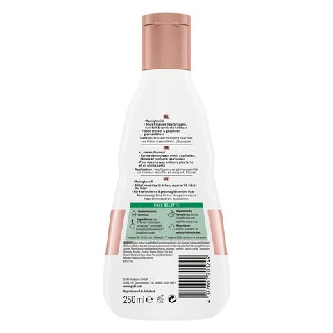 GUHL Bond+ Restore Shampoo 250ml