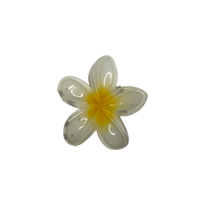 Splendid Haarclip Strik