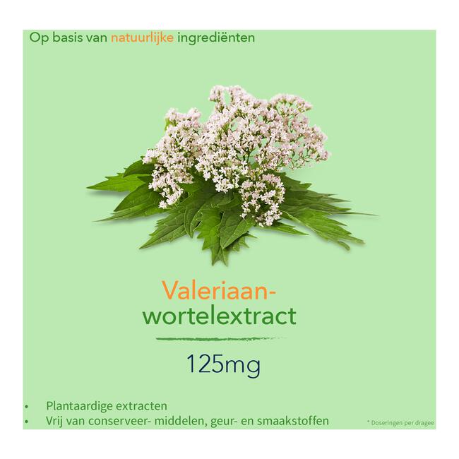 Valdispert Rust Sterk 50 tabletten
