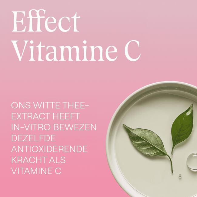 Weleda Wilde Rozen & Witte Thee Vitaliserende Dagcrème 40 ML