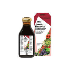 SALUS Floradix Floravital 250 ML