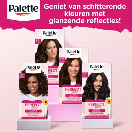 Poly Palette Perfecte Gloss Color Haarverf 110 Glossy Zwart