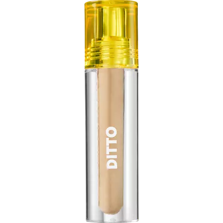 Trouble Maker Ditto Radiant Concealer Moon Walker