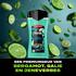 AXE Fine Fragrance Collection Aqua Bergamot Body Wash 225 ML