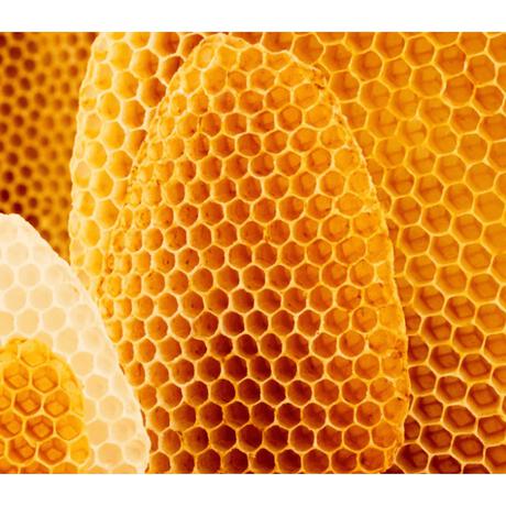 Weleda Cold Cream 30 ML