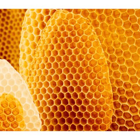 Weleda Cold Cream 30 ML