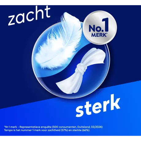Tempo Regular 4-Laags Zakdoekjes 10x10 stuks