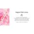 Therme Saigon Pink Lotus Satin Douchegel 200 ML