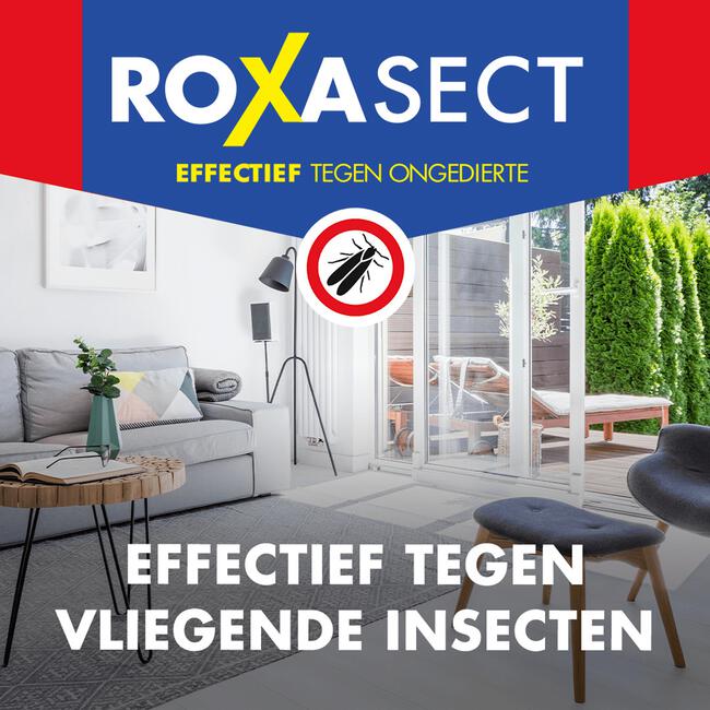 Roxasect Spuitbus Vliegende Insecten 400 ML