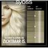 Syoss Oleo Intense 10-50 Licht Asblond