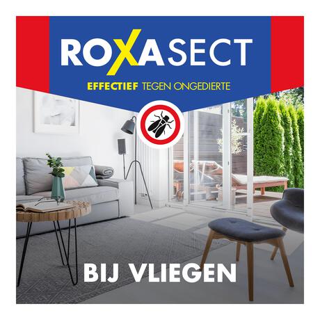 Roxasect Vliegenvanger 4 stuks