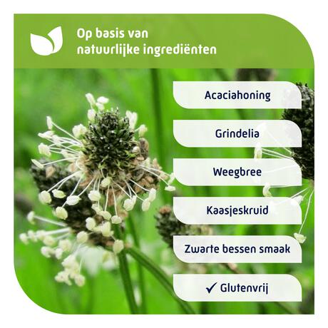 Natterman Voor Alle Hoest Kindersiroop 180 ML